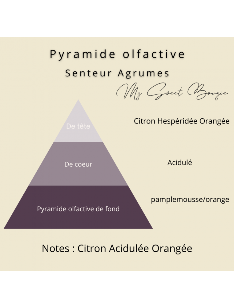 Couteau à pamplemousse professionnel TRIANGLE